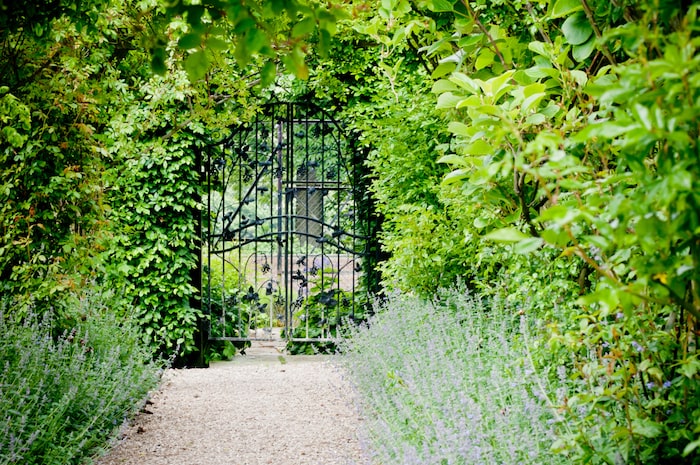 Gates at the end of a pergola covered garden path