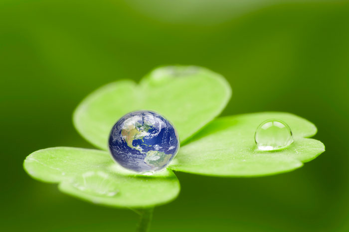 Green clover with water drops, one drop has image of earth from space