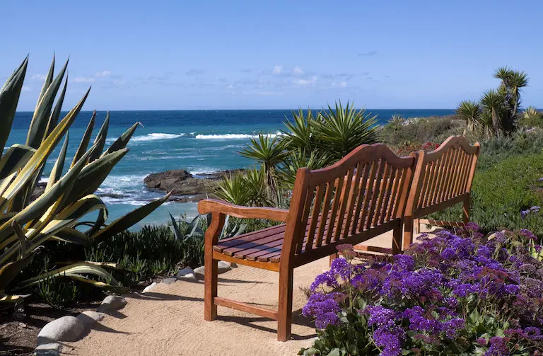 An empty bench overlooking the ocean
