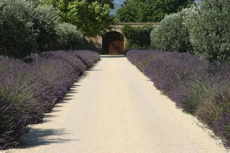 Dirt road leading to wall with a closed gate